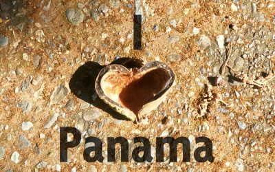 Panamanian Patriotic Flavour
