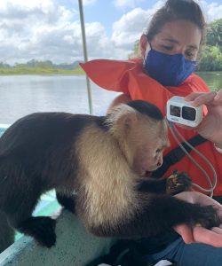 Gamboa & Monkey Island, Panama