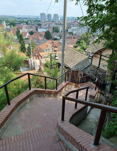 Cute Staircase through all the backyards