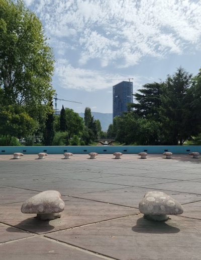 Stone Mushrooms