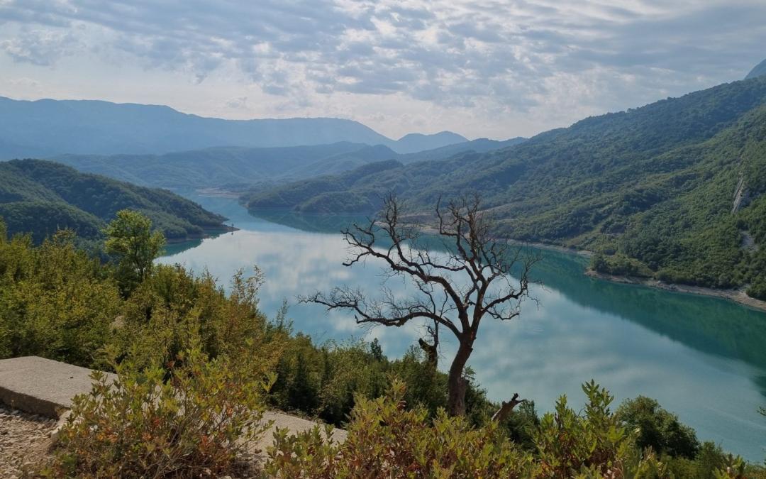 View at Bovilla Lake