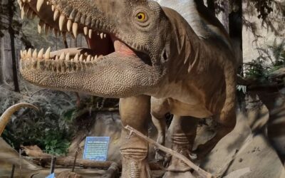 Drumheller, where the past comes to life