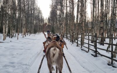 Heading to Rovaniemi, Official Hometown of Santa Claus