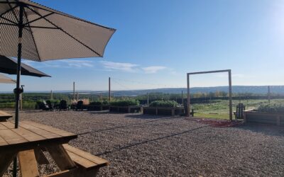 U-Pick Bouquet for Mom at Franklin & Co. Flower Farm