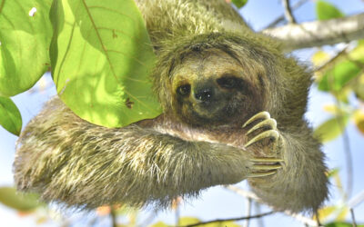 One day in Puntarenas, Costa Rica