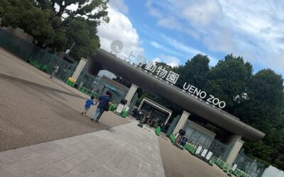 Visiting Ueno Zoo & Ueno Park
