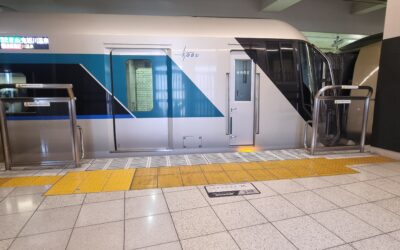 When the Curtains Closed: A Hard Day on a Japanese Train