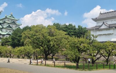 A Different Side of Japan: Two Relaxing Days in Nagoya