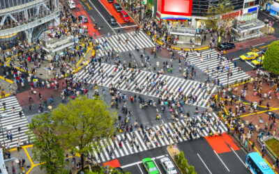 Exploring Shibuya & Shinjuku: The Energy of Modern Tokyo