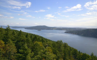 Walking Above the Trees: Taking on the Malahat SkyWalk